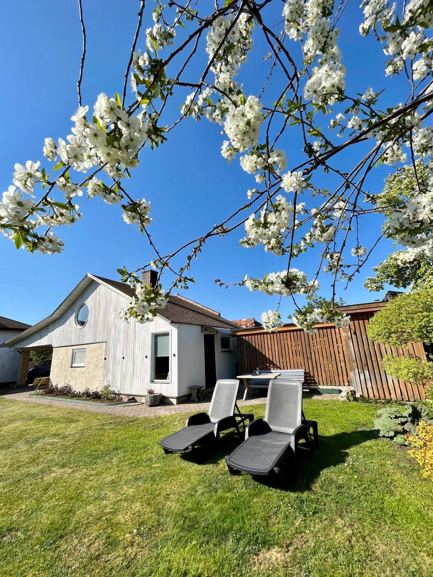 Two Story Tiny House Villa Ventspils Bagian luar foto